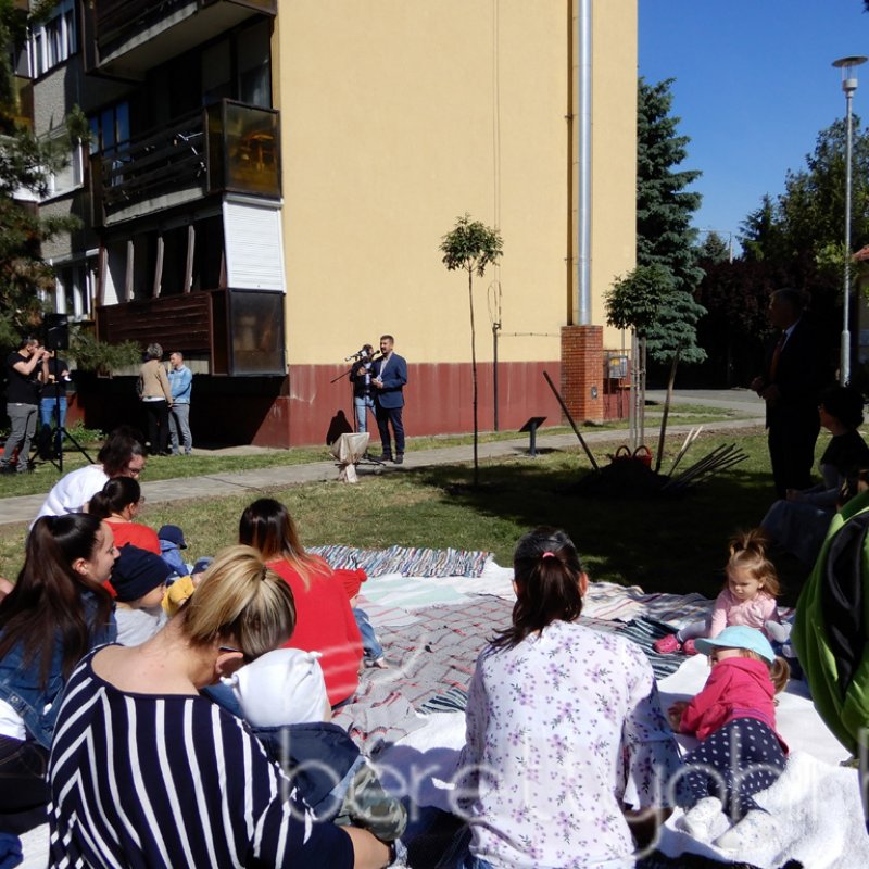 Életfa ültetés a város napján 21